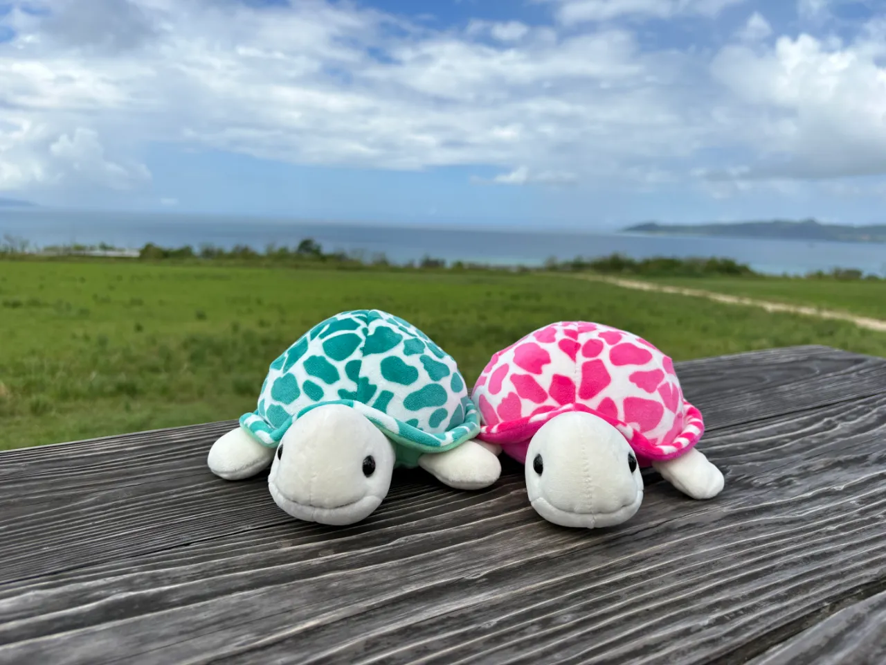 Ishigaki Trip Day1 石垣旅行1日目