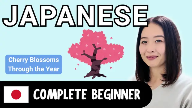 Cherry Tree in Different Seasons 桜の１年