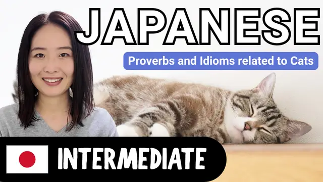 Proverbs and Idioms Related to Cats 猫に関することわざ、慣用句