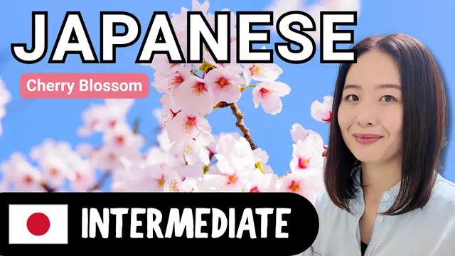 Cherry Blossom 桜