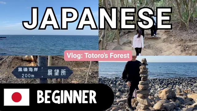 Totoro's Forest トトロの森