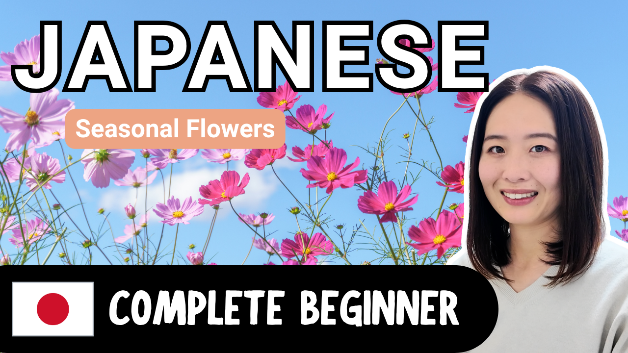 Seasonal Flowers 季節の花