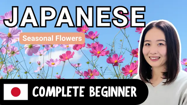Seasonal Flowers 季節の花